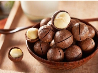 HẠT MACCA TƯƠI : Tìm Hiểu 4 vùng có HẠT MACCA TƯƠI tại việt nam