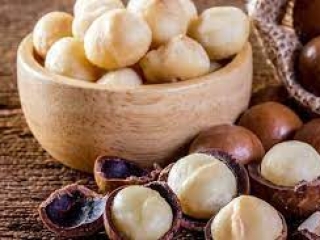 Giá Hạt Macca Daklak : 5 Loại giá hạt macca khác nhau để bạn lựa chọn